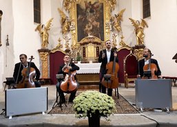 Pak se slova a smyčců chopil PCQ