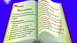 Další možná forma podpory 