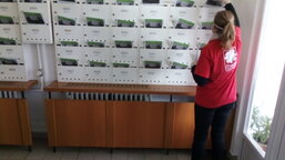 Když tříkrálová sbírka pomáhá i jinak