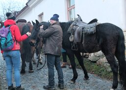 Než se koňáci převléknou, koně pohlídají sociální pracovnice