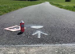 Šipky jsou letos bílou barvou s již známým symbolem srdce a běžce 