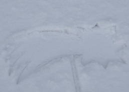 Sebranice - děkujeme!